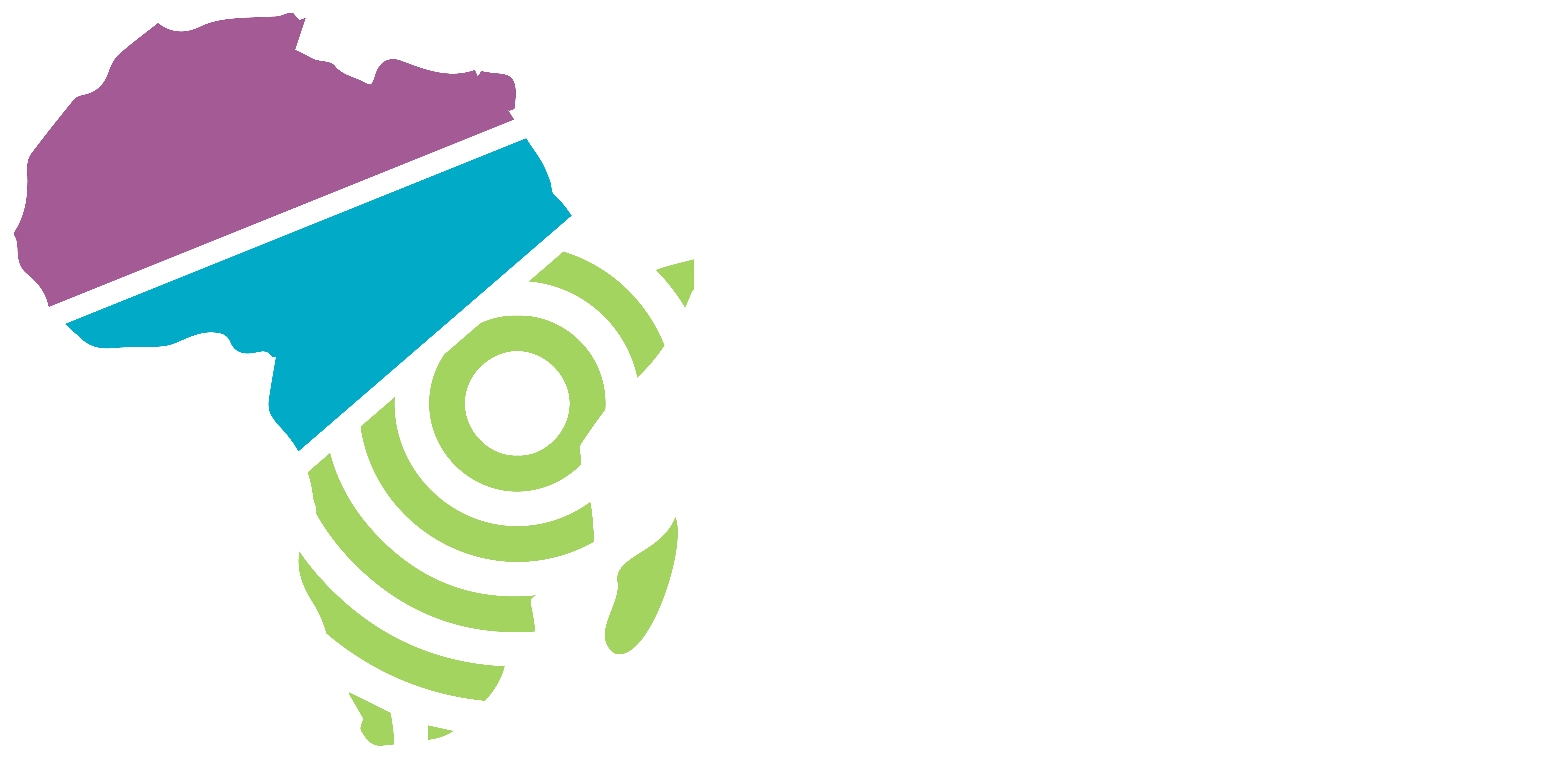 Pan-African Surgical Conference
